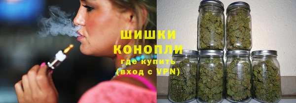 прущие грибы Белокуриха