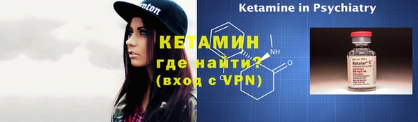 прущие грибы Белокуриха