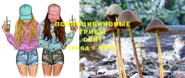 дживик Беломорск