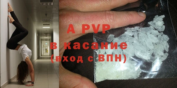 прущие грибы Белокуриха