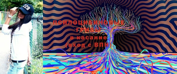 дживик Беломорск