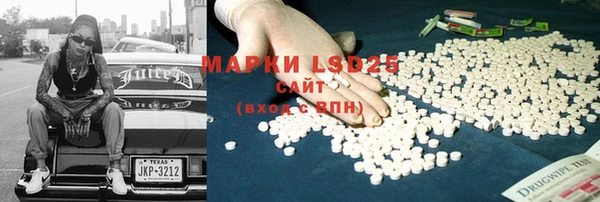 прущие грибы Белокуриха