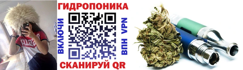 как найти закладки  Облучье  Каннабис OG Kush 